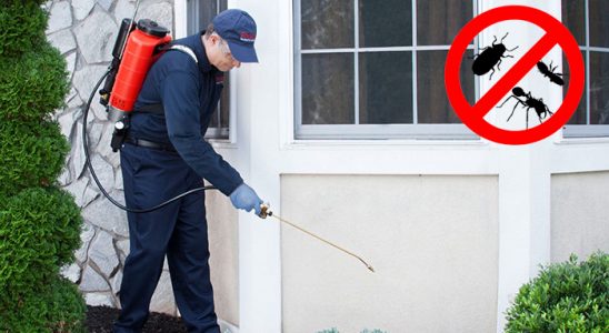 Pervari Böcek ve Haşere İlaçlama böcek ilaçlama ve haşere kontrolü — ilaclama-tr.com